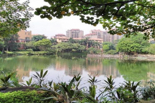 東駿豪苑優(yōu)點 不足,東駿豪苑怎么樣,東駿豪苑周邊房產(chǎn)中介經(jīng)紀(jì)人評價 東莞安居客