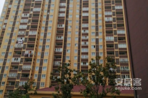 東駿華府綜合評析 優勢、不足與周邊市場口碑